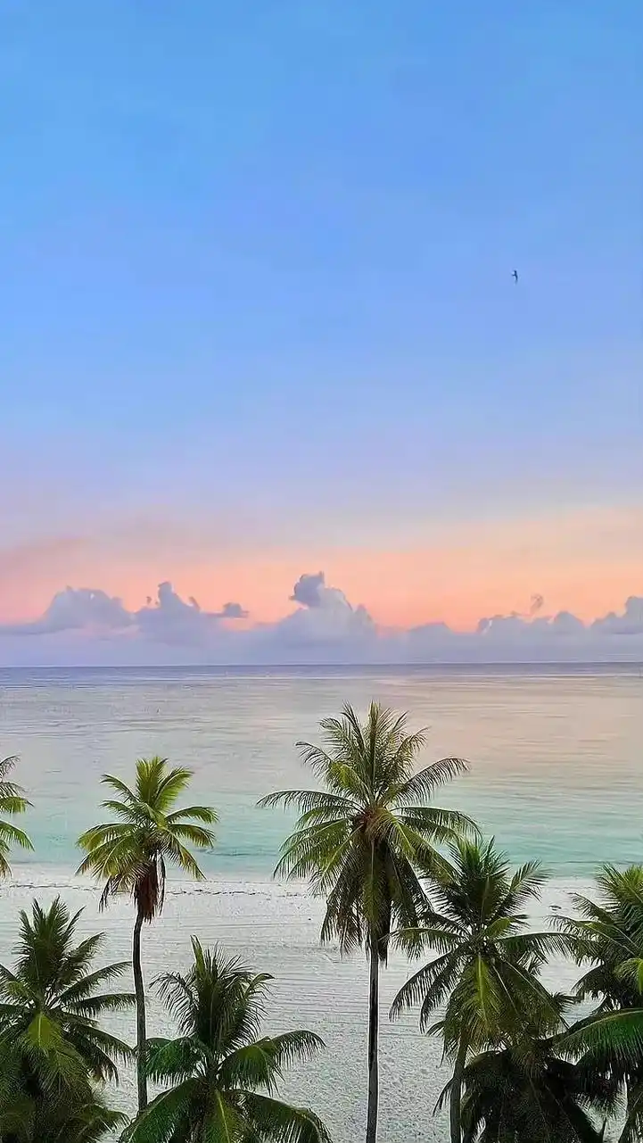 超美ins风高清壁纸.#背景图壁纸 #背景图文案 #聊天背景 - 抖音