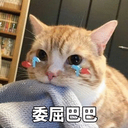 委屈巴巴猫咪喵星人哭泣可爱gif动图_动态图_表情包下载_soogif