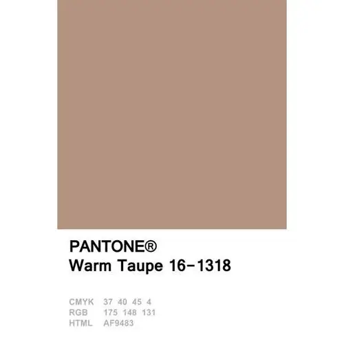 word天,上流社会宠爱的「吃土色」原来这么高级!