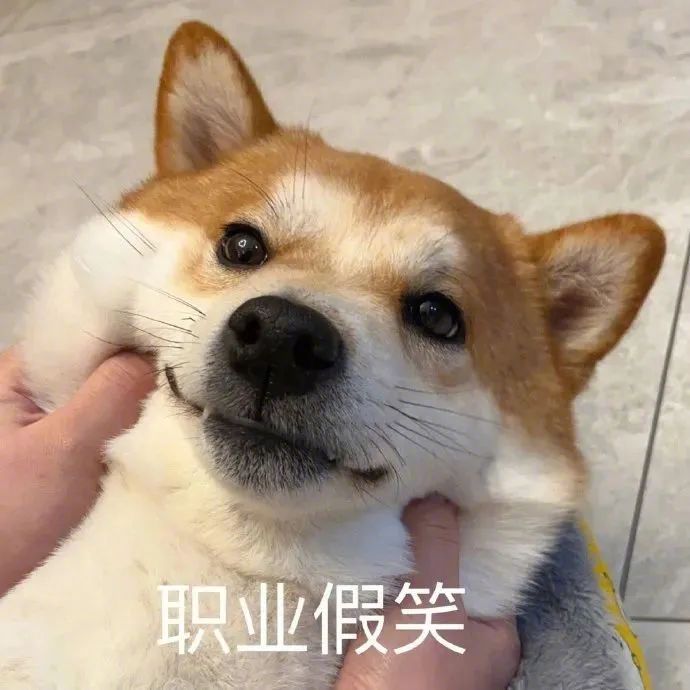 表情包新秀,萌&搞笑双修