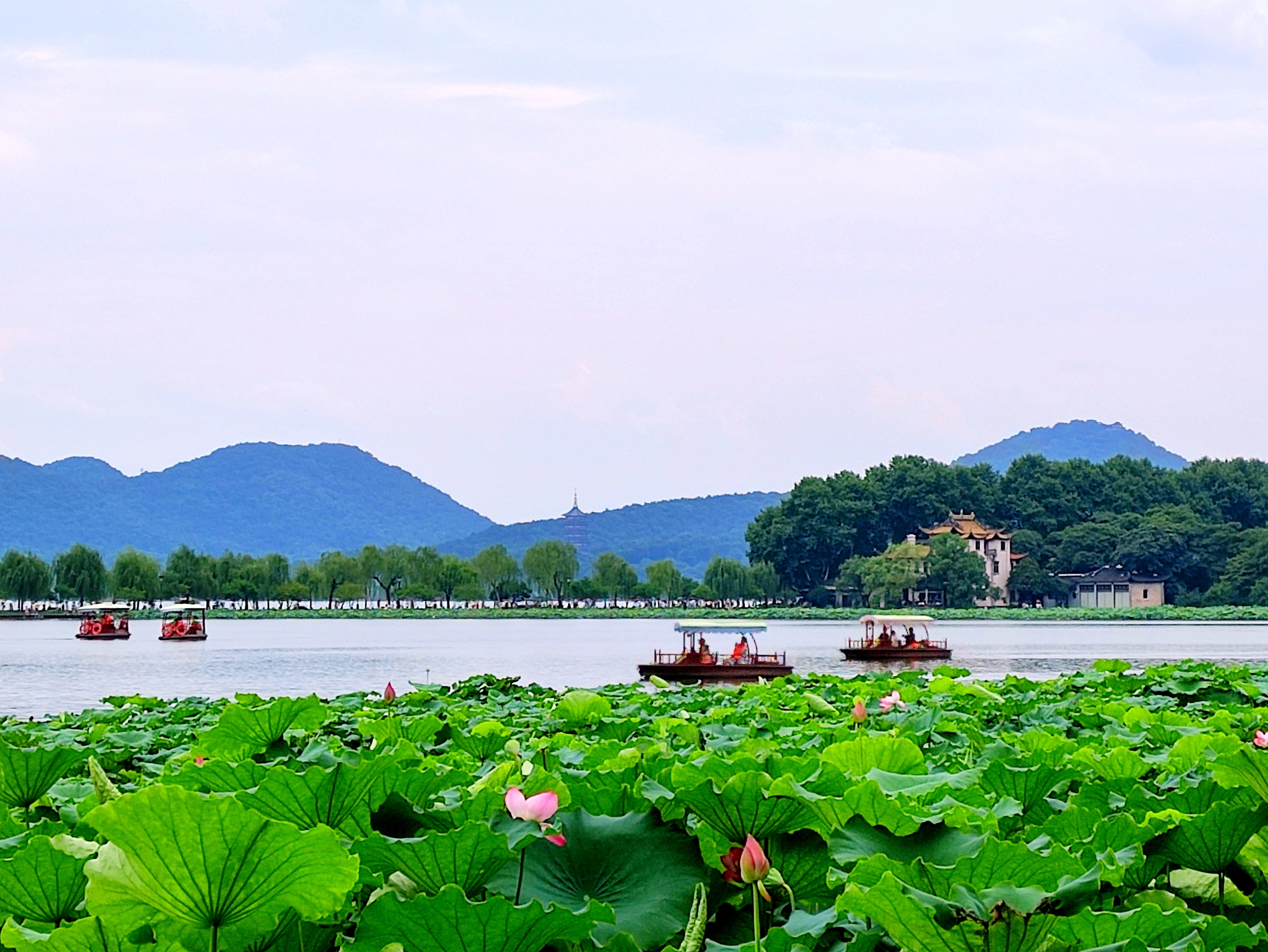 (首发) 醉美西湖六月中