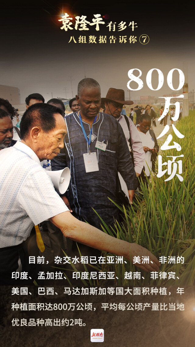 袁隆平有多牛?八组数据告诉你