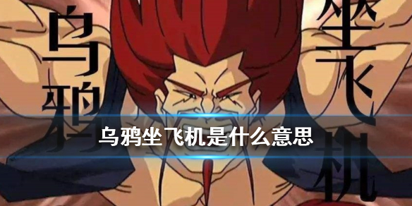 乌鸦坐飞机是什么意思