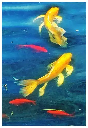 鱼儿在水中摇头摆尾,嬉戏追逐,生灵活现,游姿优美.