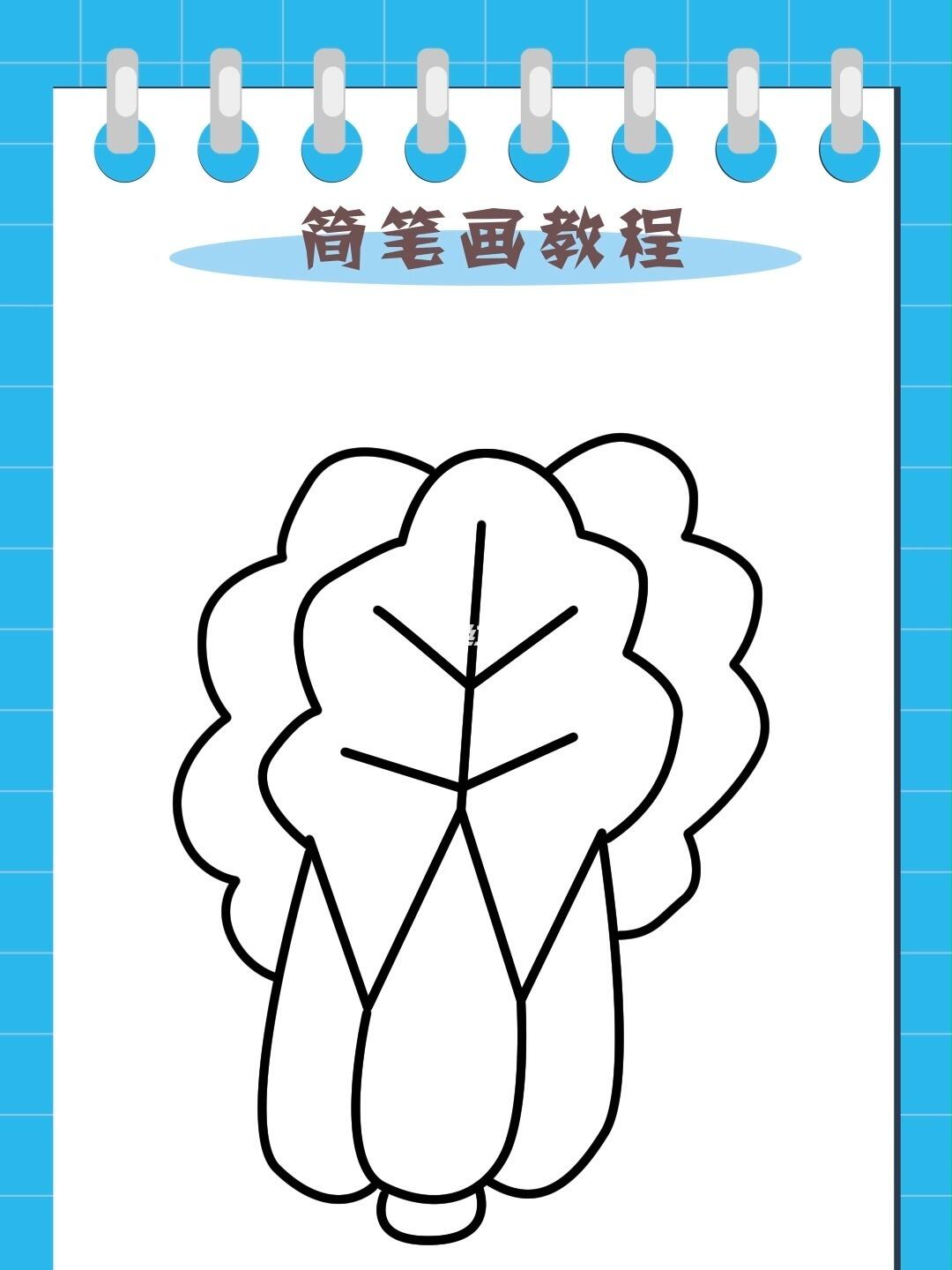 大白菜  快来和我一起学习白菜的画法 #简笔画教程