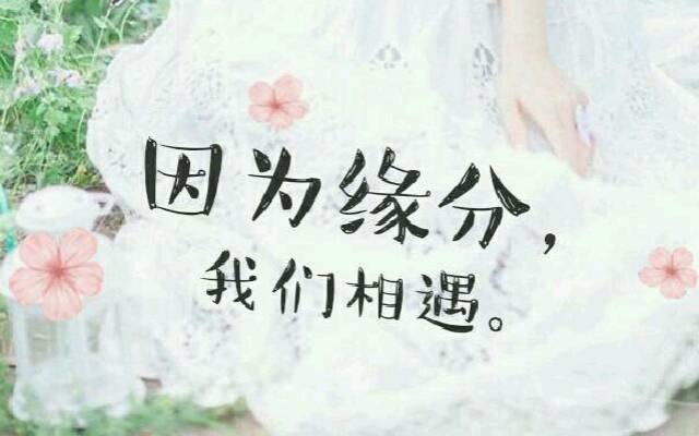 后合上解释,缘:是天注定两人能否相遇;分:是人决定两人能否相守