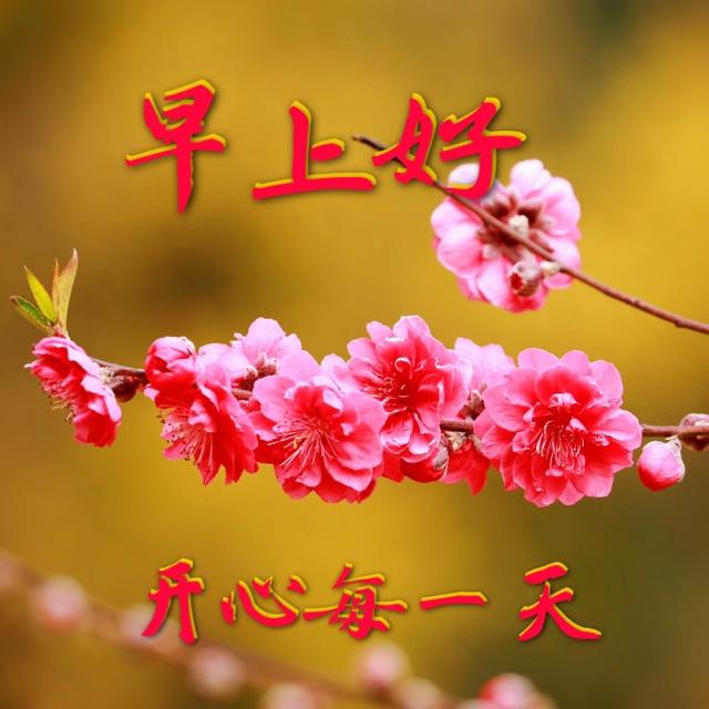 2021年4月18日星期日漂亮早上好问候祝福表情图片 最新早安问候祝福