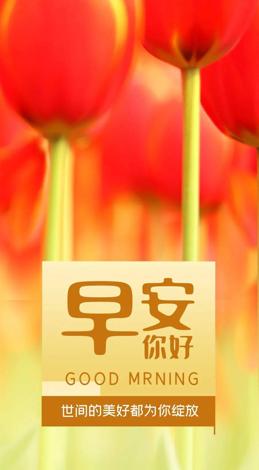 10月9日早安心语正能量问候语最好看早上好正能量图片语句2020