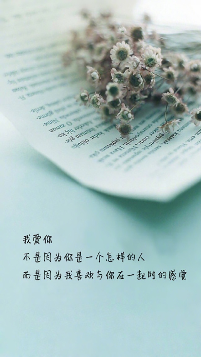 唯美爱情文字语句