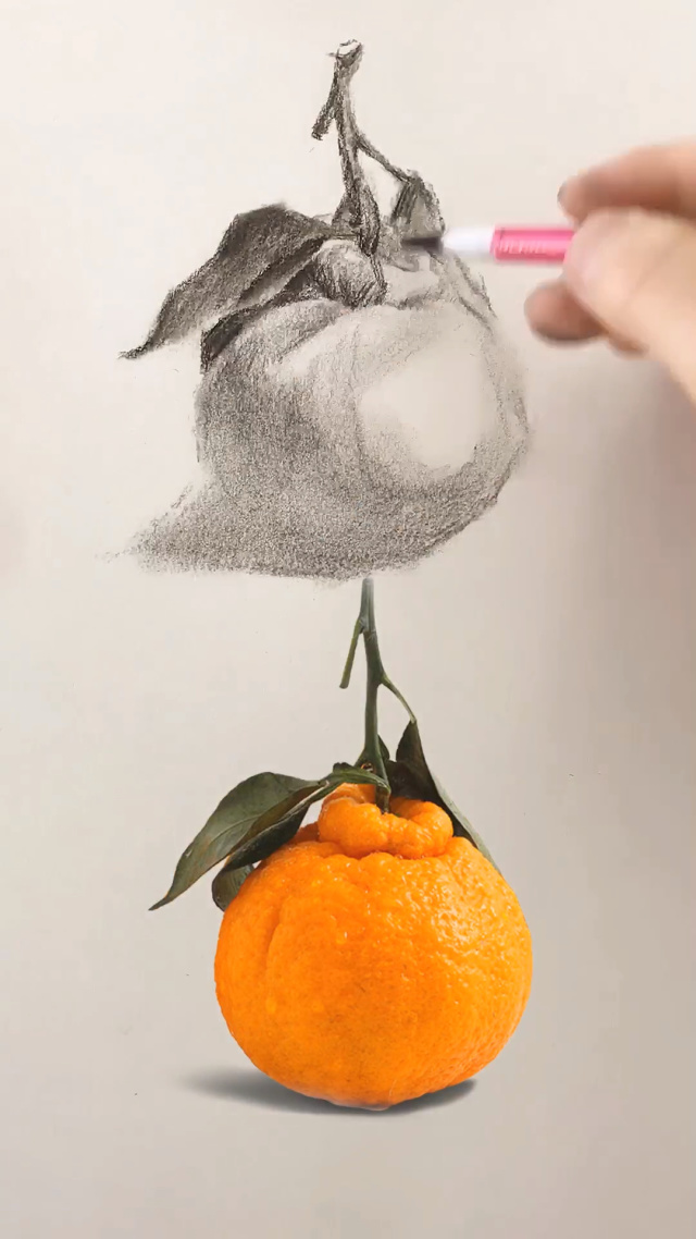 素描丑橘画法教程