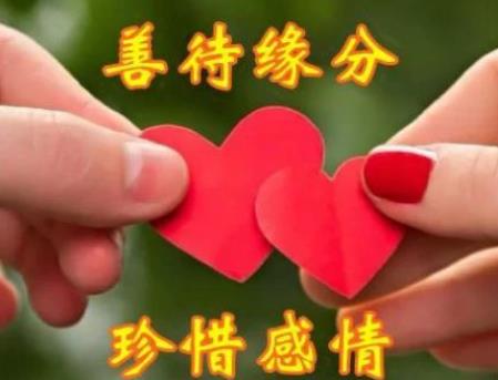 缘分不易彼此珍惜图片