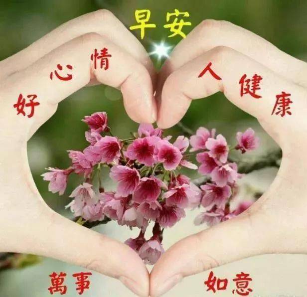 周六特别漂亮的早安问候祝福动态图片,早安暖心祝福语精选