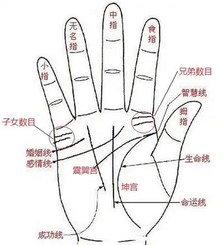 面相歌诀过三关,父母,夫妻,兄弟,子女关刘恒注解