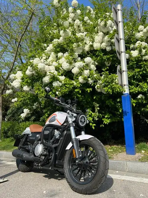 摩托车奔达金吉拉300改色