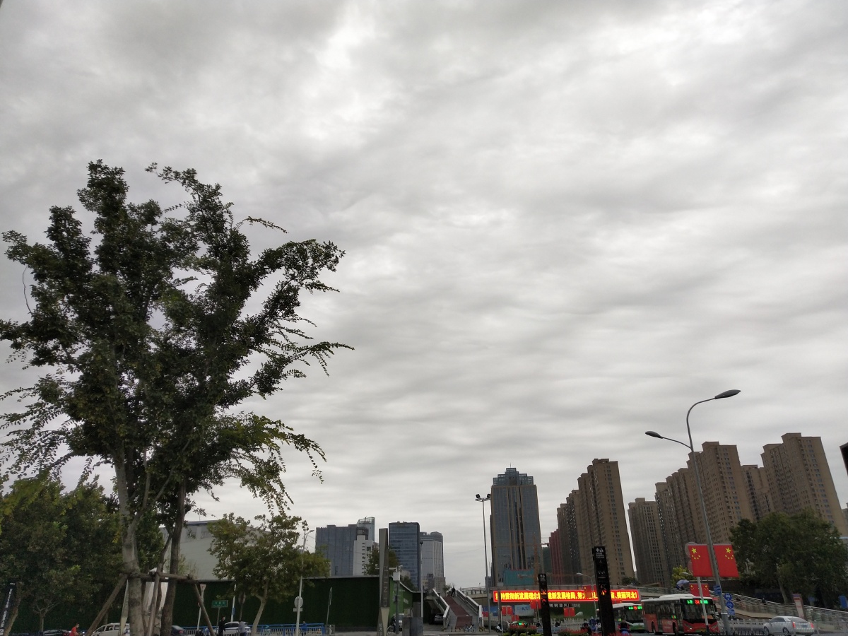 石家庄的阴雨天气