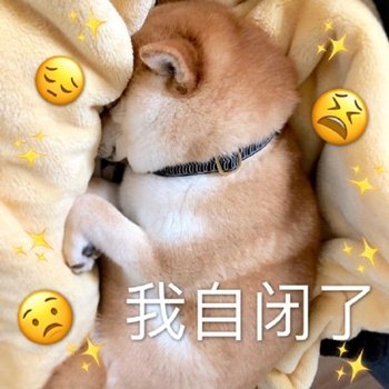 萌宠汪星人我自闭了不想看搞怪呆萌gif动图_动态图_表情包下载_soogif