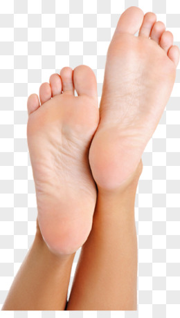 小脚丫脚丫卡通小脚丫猴子累xlsepsaipsd全部格式近期上传热门下载