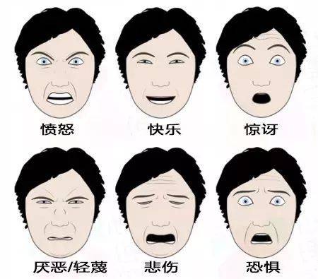 人类的微表情有何用