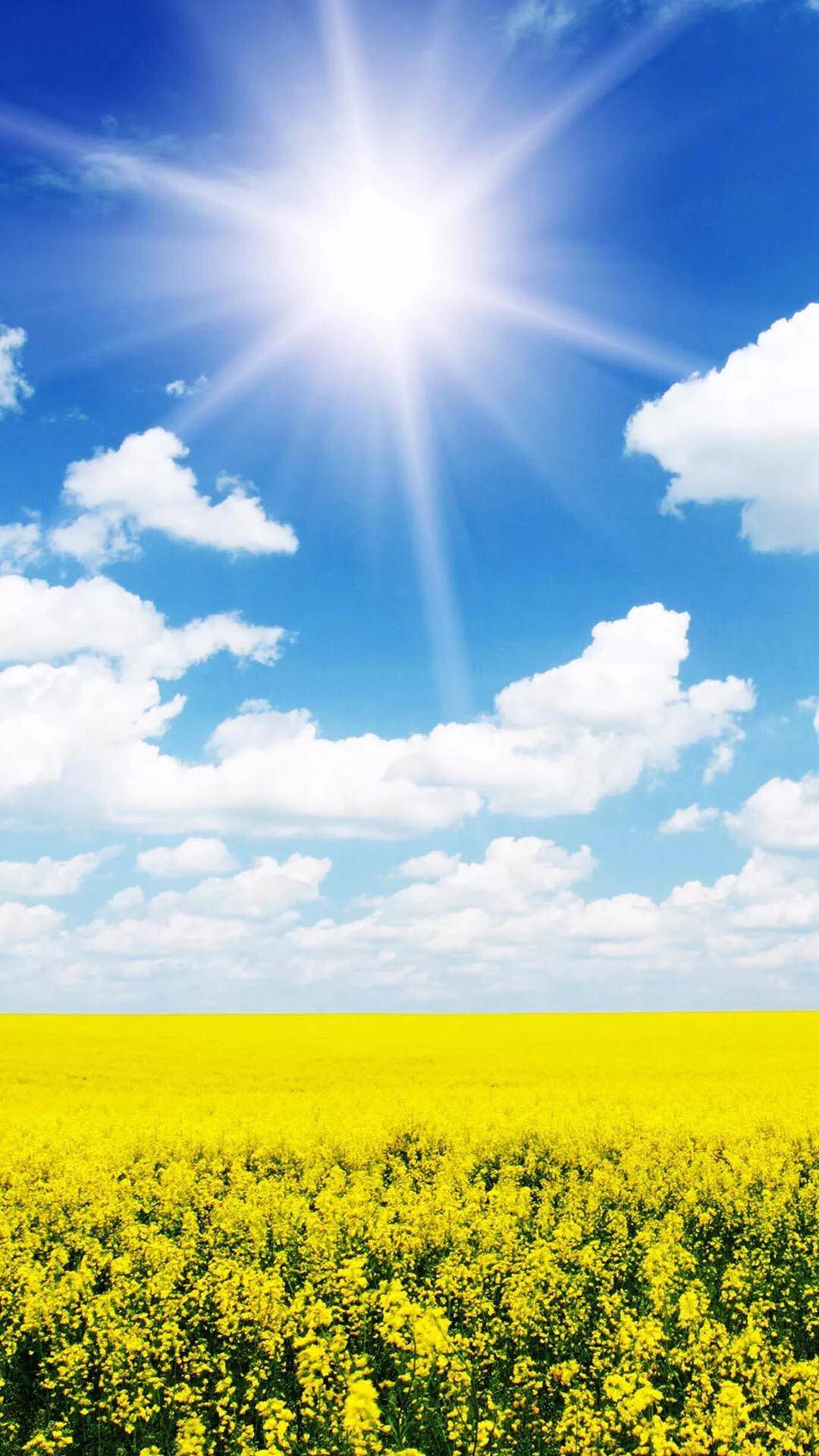 治愈系春天田野风景,高清图片,手机锁屏桌面-壁纸族