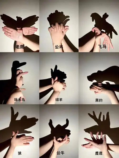 美育亲子趣味儿童手影游戏幼师必会项77