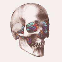 充满死亡气息的头像_微信头像图片大全