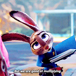 小兔子交谈可爱gif动图_动态图_表情包下载_soogif