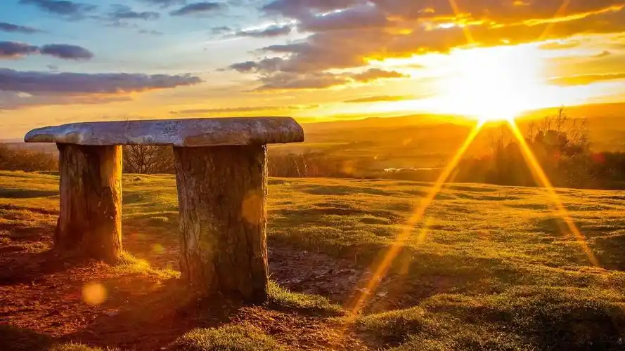 金灿灿的阳光,风景-回车桌面