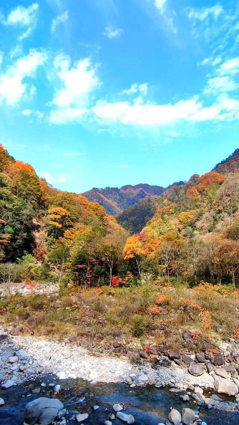 记录光雾山景区米仓山森林公园红叶景观,分享美丽的瞬间,总有人 - 抖