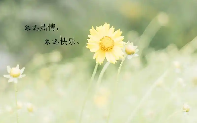 经典励志说说致自己带字配图