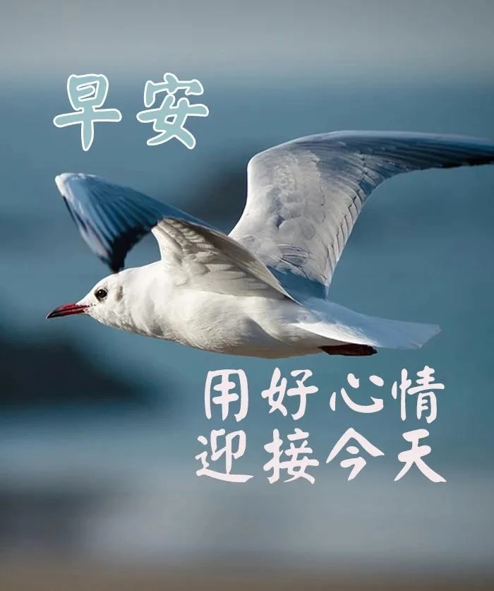 2021年7月7日最新特别漂亮的早安问候语图片,周三早上好问候励志语