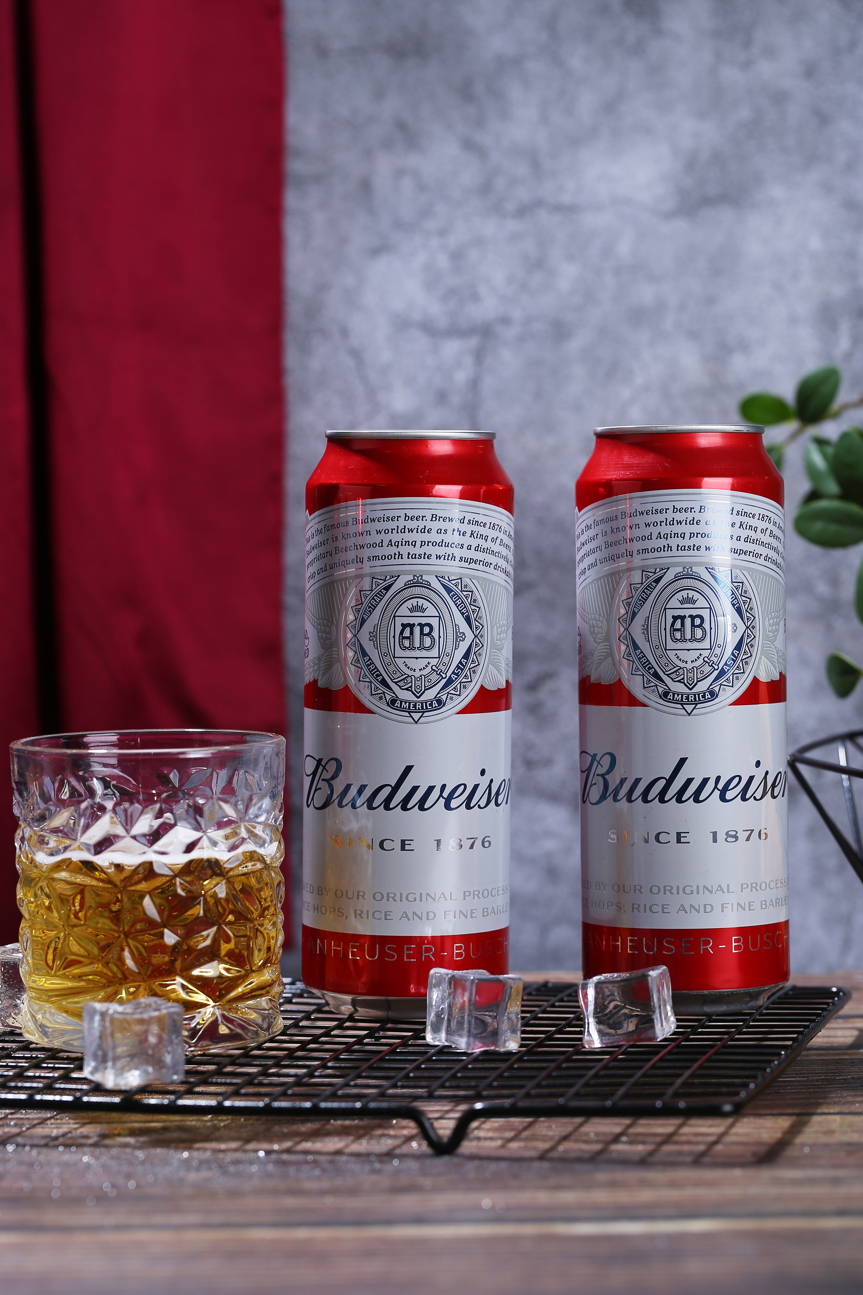 百威500毫升江浙沪质量好口感整箱18罐醇正啤酒小麦啤酒