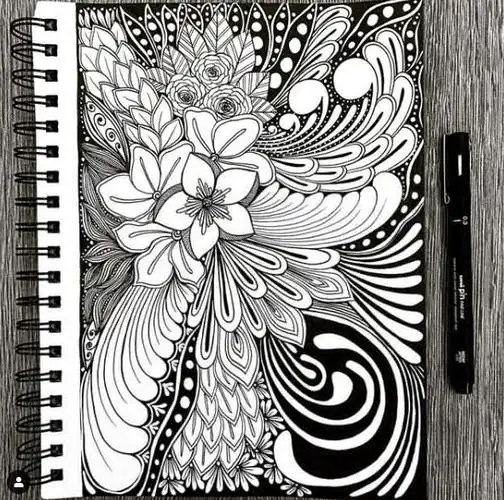 谁说黑白手绘线描不能细腻这波手绘教程简单精致完全被吸引了