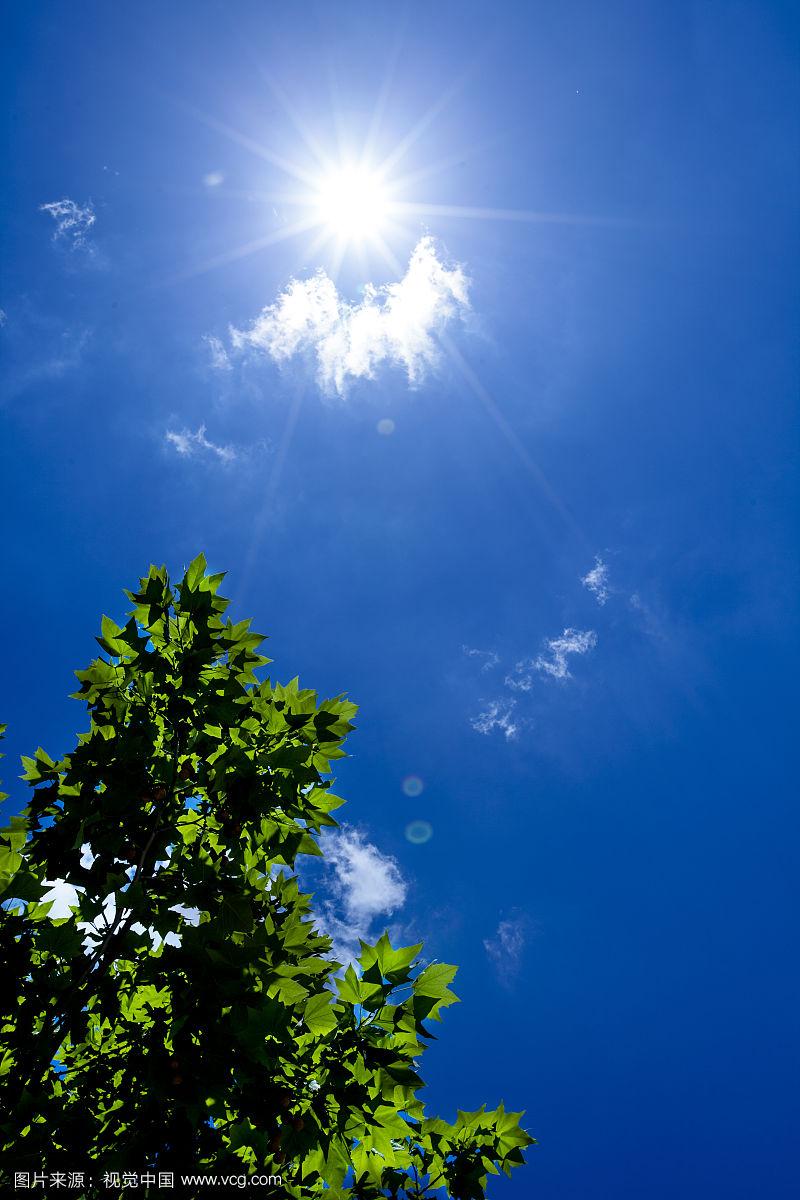 正午阳光
