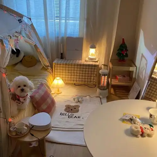 两只小可爱~#比熊#狗狗日常#卧室布置