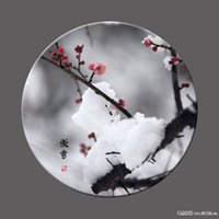 傲雪寒梅微信头像_微信头像图片大全