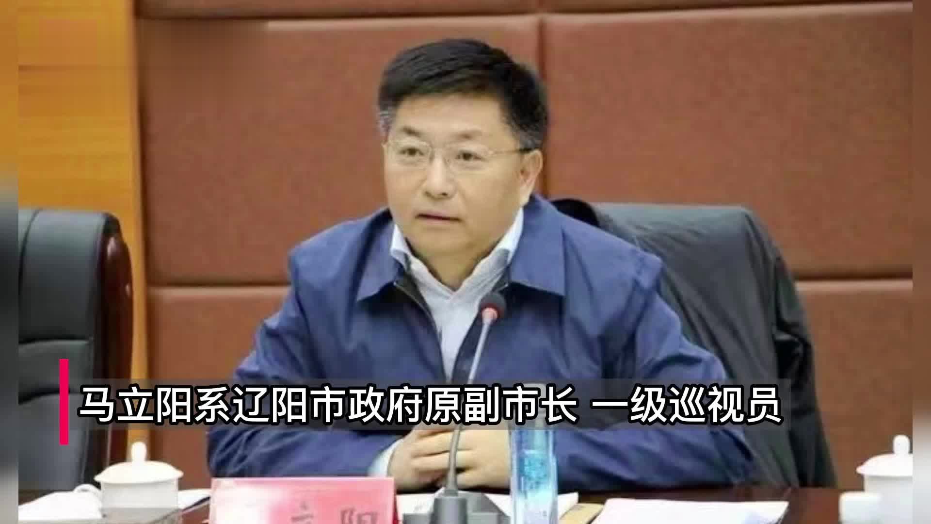 辽宁省检察机关决定逮捕马立阳,冷厚堂 均涉受贿罪