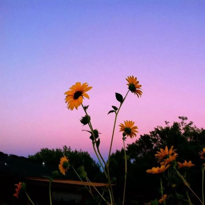 微信推送封面尺寸_48张微信朋友圈个性封面图片大全 让来看你朋友圈的