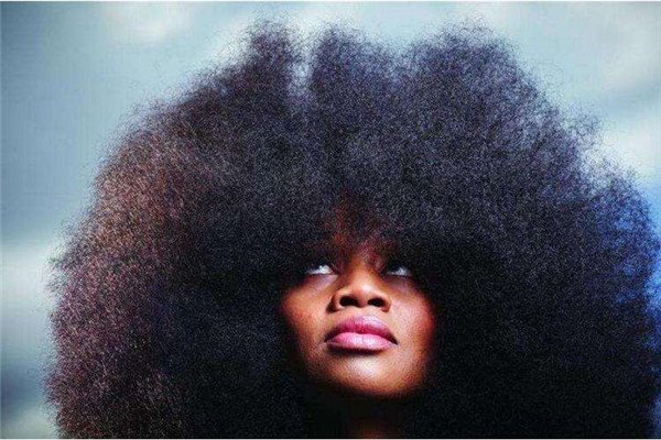 世界上最大的爆炸头看起来就像是一个黑球直径90cm