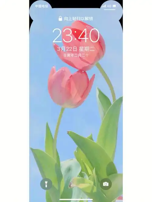 苹果手机刘海屏壁纸制作教程桌面小组件60