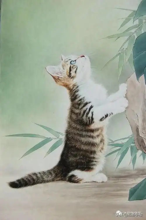 「工笔素材」 邢诚爱10幅画猫白描欣赏