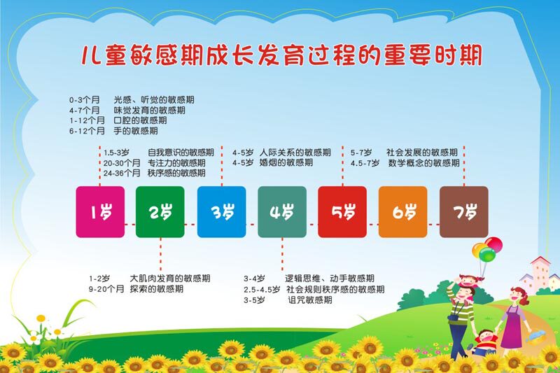 m769儿童成长发育过程敏感期的重要时期墙上贴画挂图2318海报印制