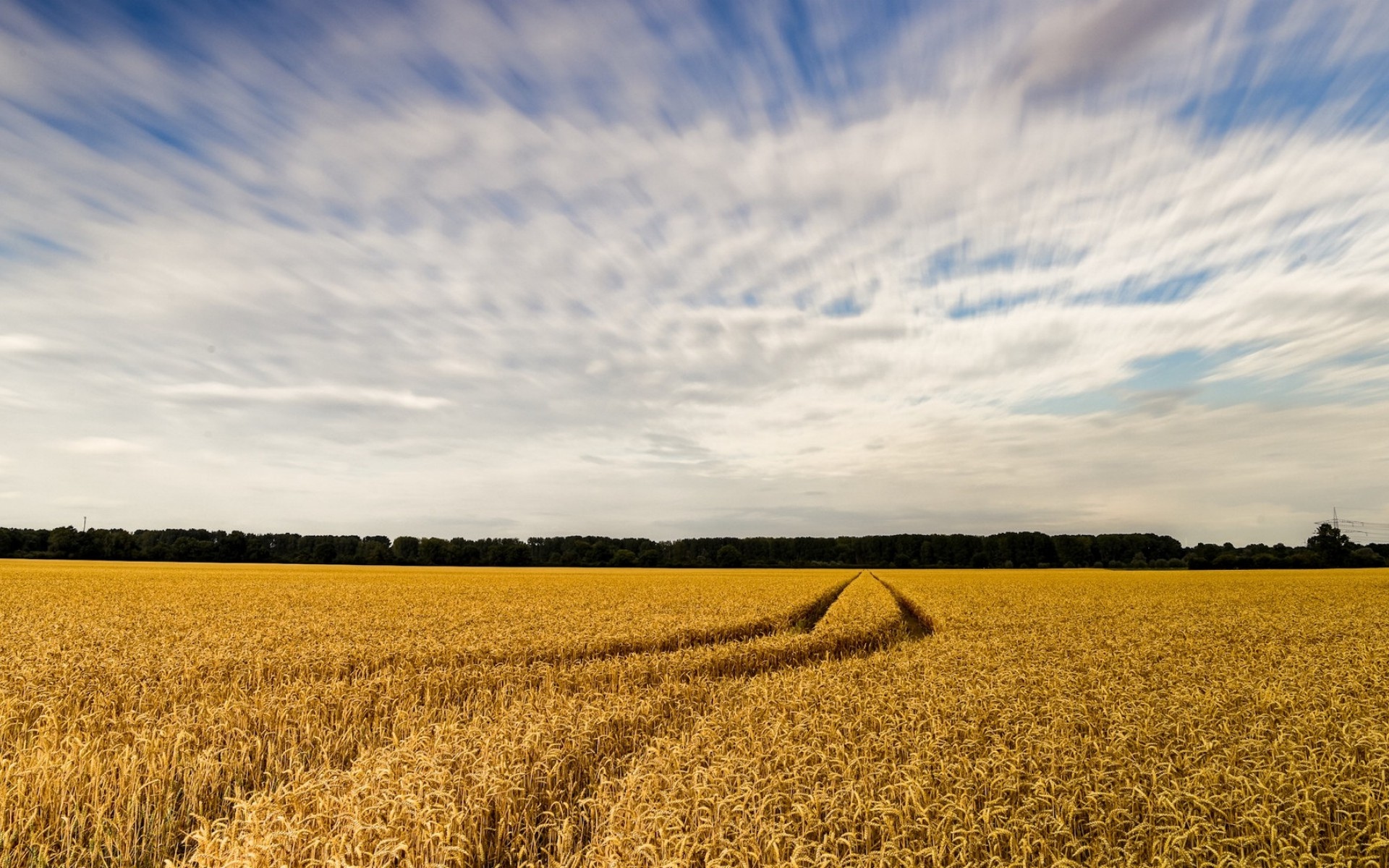 秋季金色的麦田风景,高清图片,电脑桌面-壁纸族