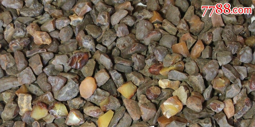 乌克兰琥珀蜜蜡原石纯天然带皮矿料2-5精选料10克售