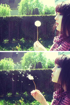 想要一个长发女孩吹蒲公英的头像?