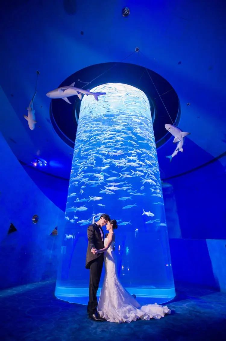 5大海洋场景婚礼胜地:在游轮,沙滩,海底举行人生大事!