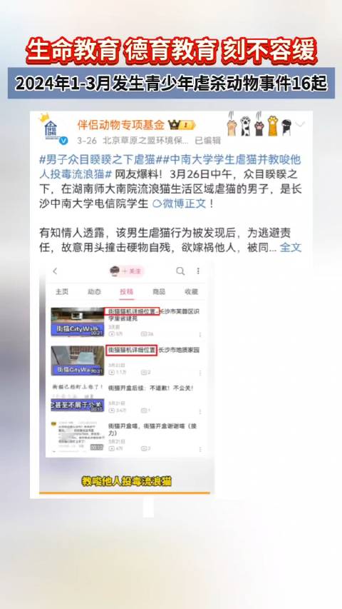 走近虐猫人群##三个月内16起青少年虐杀动物事件
