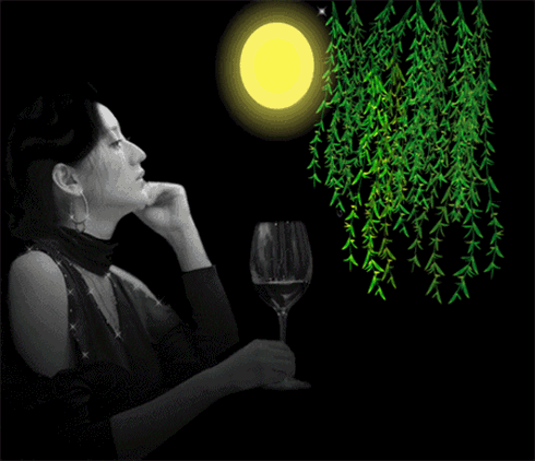 【白荷老师的优美组诗欣赏】中华诗艺社九江分社隆重推送!