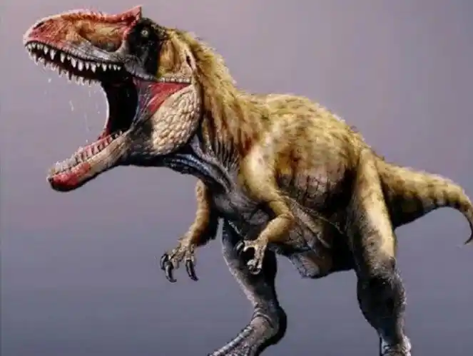 霸王龙前面两只小手手那么小,是干嘛用的?