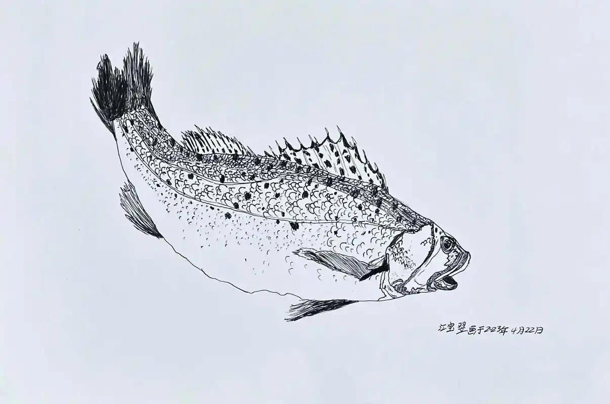 纯线描表现的鱼#一起学 - 抖音