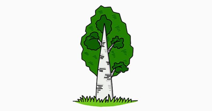 树木杨树简笔画怎么画杨树卡通画儿童画画法 杨树的画法